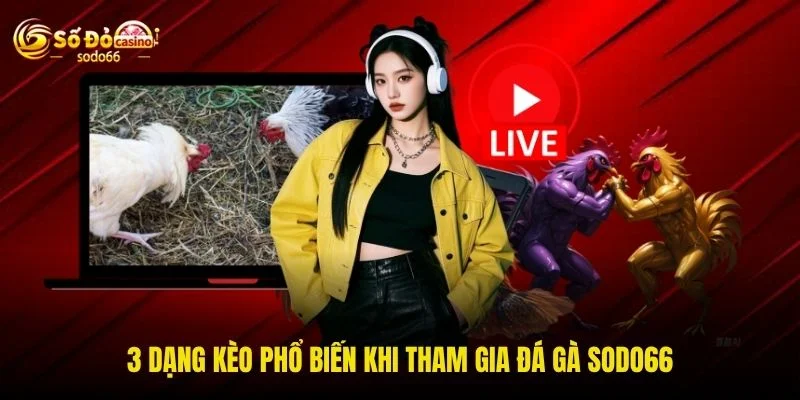 3 dạng kèo phổ biến khi tham gia đá gà SODO66 3 dạng kèo phổ biến khi tham gia đá gà SODO66