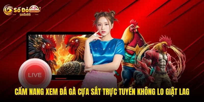 Cẩm nang xem đá gà cựa sắt trực tuyến không lo giật lag Cẩm nang xem đá gà cựa sắt trực tuyến không lo giật lag