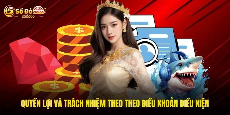 Quyền lợi và trách nhiệm theo theo điều khoản điều kiện Quyền lợi và trách nhiệm theo theo điều khoản điều kiện