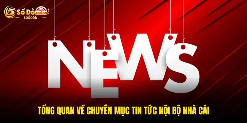 Tổng quan về chuyên mục tin tức nội bộ nhà cái Tổng quan về chuyên mục tin tức nội bộ nhà cái