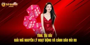 Tool Tài Xỉu - Giải Mã Nguyên Lý Hoạt Động Và Cảnh Báo Rủi Ro